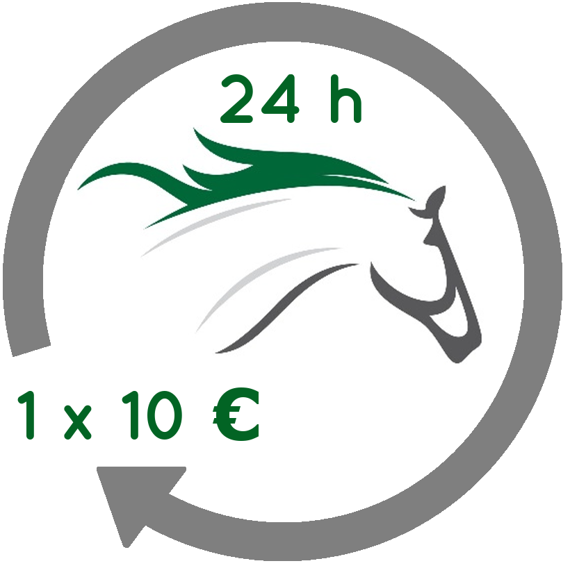 Rationsberechnung Pferd