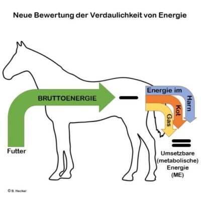 Energie, umsetzbar