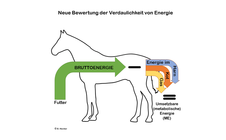 Energie. umsetzbar