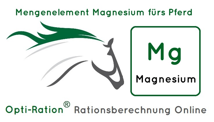 Magnesium