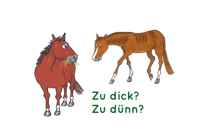 Ernährungszustand