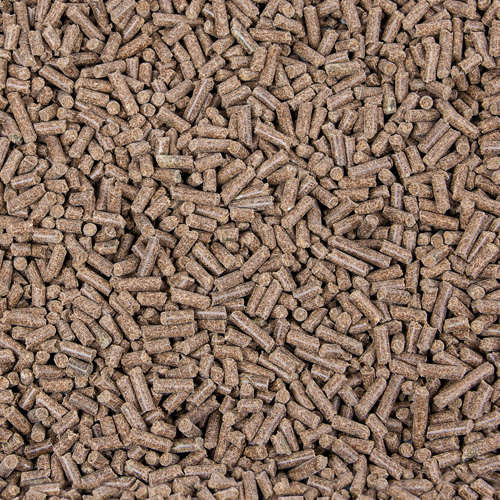 Bierhefe