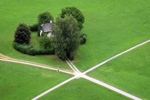 Vier Wege zur optimalen Ration