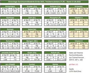 Werte Grassilage 2022 Pferd