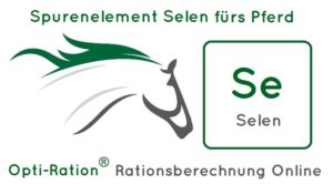 Selen pferd