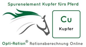 Kupfer Pferd