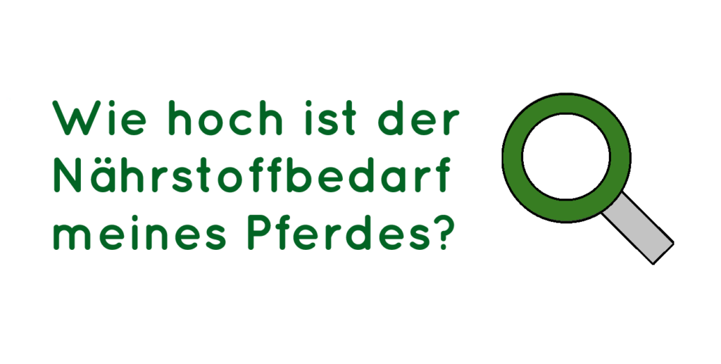 bedarfsberechnung