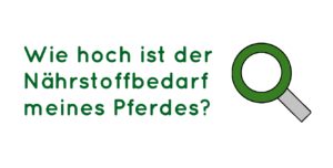 bedarfsberechnung