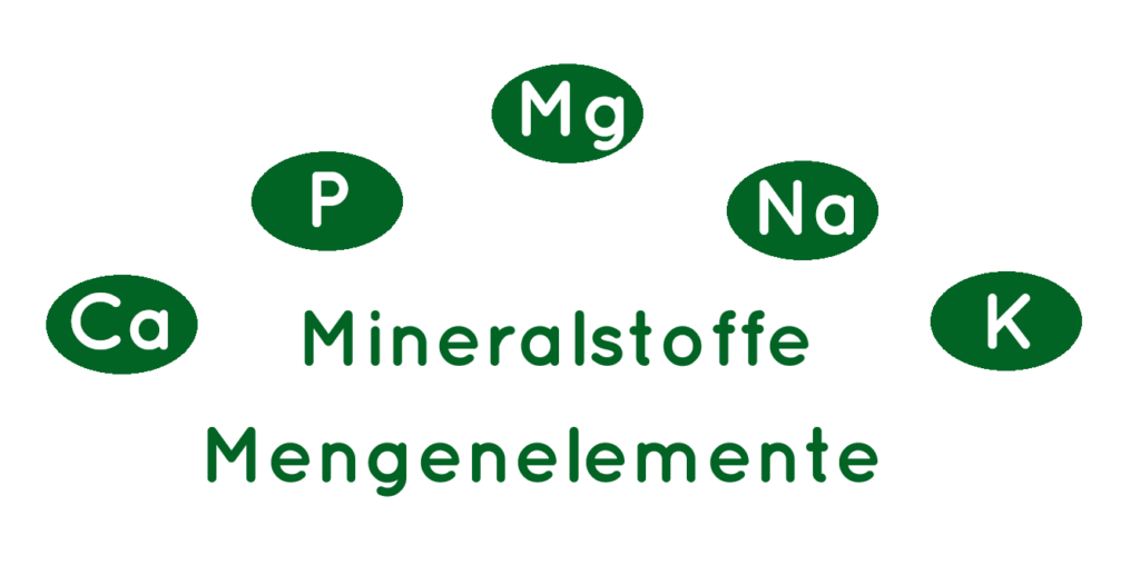 mengenelemente