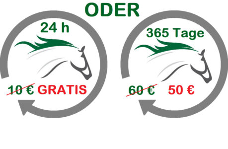 kostenlose Erstberechnung